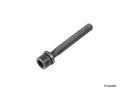 Cylinder Head Bolt