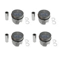 Piston Set .50mm oversized for 82-84 Diesel Vanagon