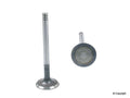 Intake Valve for 82-84 Diesel Vanagon