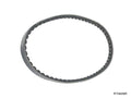 Water Pump Belt for Diesel Vanagon