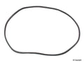 Windshield Seal for 68-79 Bus