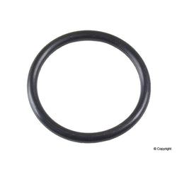 Coolant Pipe O-Ring