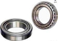 Differential Bearing