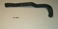 Coolant Hose for 85 1.9l Vanagon 025121102A