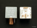 Fuel Pump Relay
